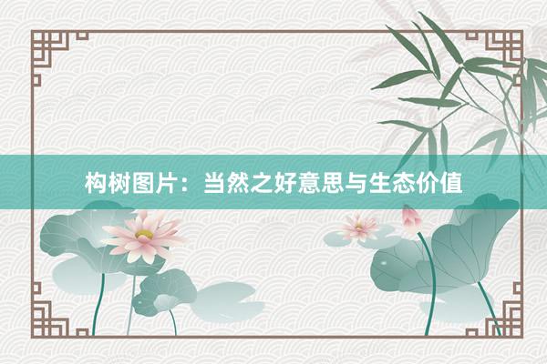 构树图片：当然之好意思与生态价值