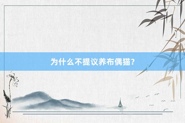 为什么不提议养布偶猫？