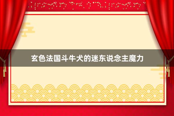 玄色法国斗牛犬的迷东说念主魔力
