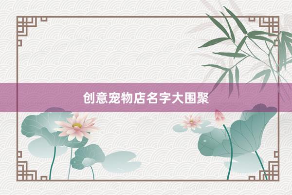 创意宠物店名字大围聚