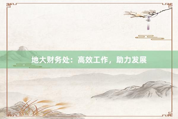 地大财务处：高效工作，助力发展